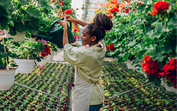 a woman watering flowers