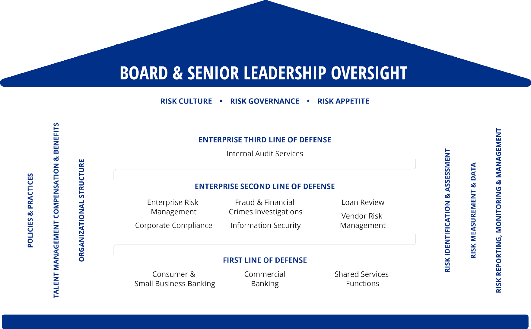 board and senior leadership oversight graphic