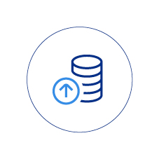 coins icon