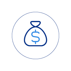 money bag icon