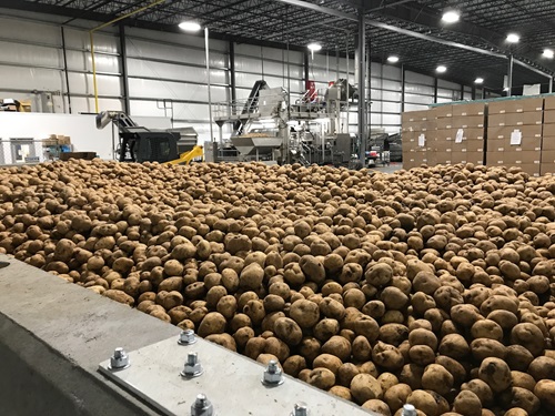 potato chip factory