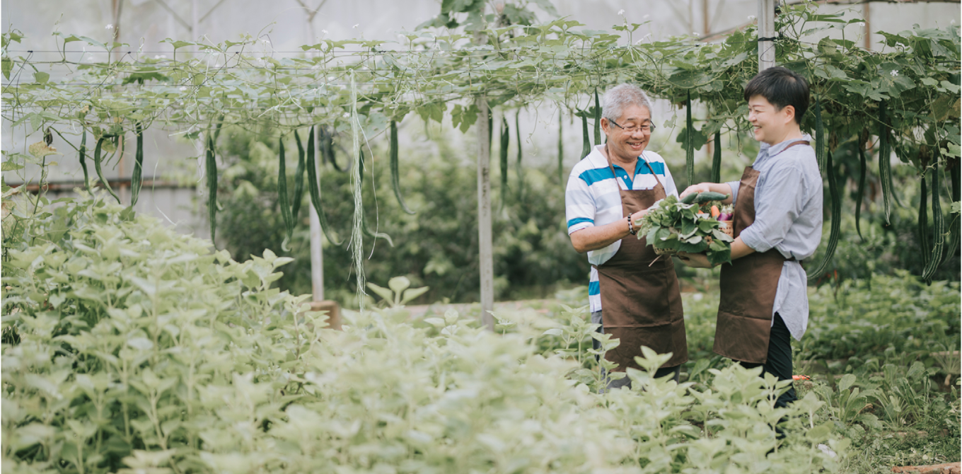 Small business, big impact: How to make your business more eco-friendly