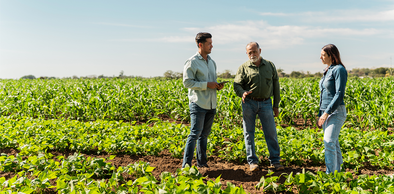 Liquidity is Leverage: How Working Capital Drives Stability and Growth in Today’s Ag Economy